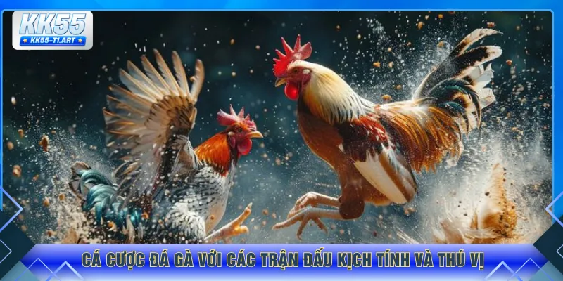 Cá cược đá gà với các trận đấu kịch tính và thú vị